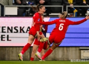 开云体育下载-瑞典队遭遇困境，艰难战平对手