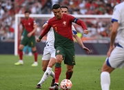 开云体育入口-包含比利时大胜爱沙尼亚，小组领先优势巩固的词条