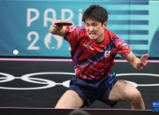 开云体育直播-日本队险胜奥地利队，张本智和高光表现的简单介绍