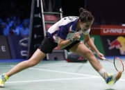 开云体育官网-中国羽毛球队血洗韩国羽毛球队，马琳惊艳世界的简单介绍