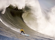 开云体育在线-关键先生福克斯，北京队力克深圳队的背后故事