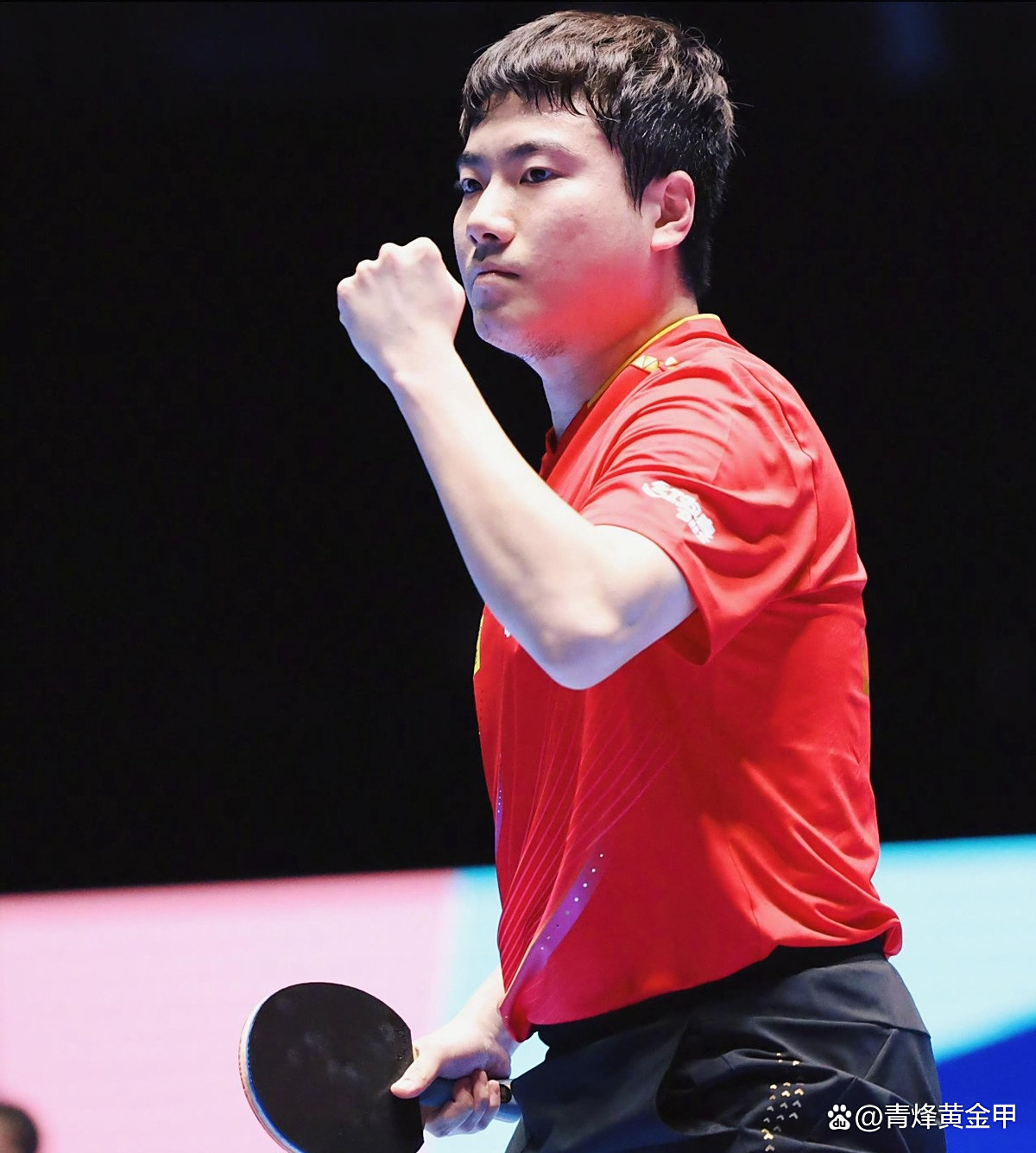 瑞典乒乓球队爆冷奥地利乒乓球队，王皓送出助攻的简单介绍