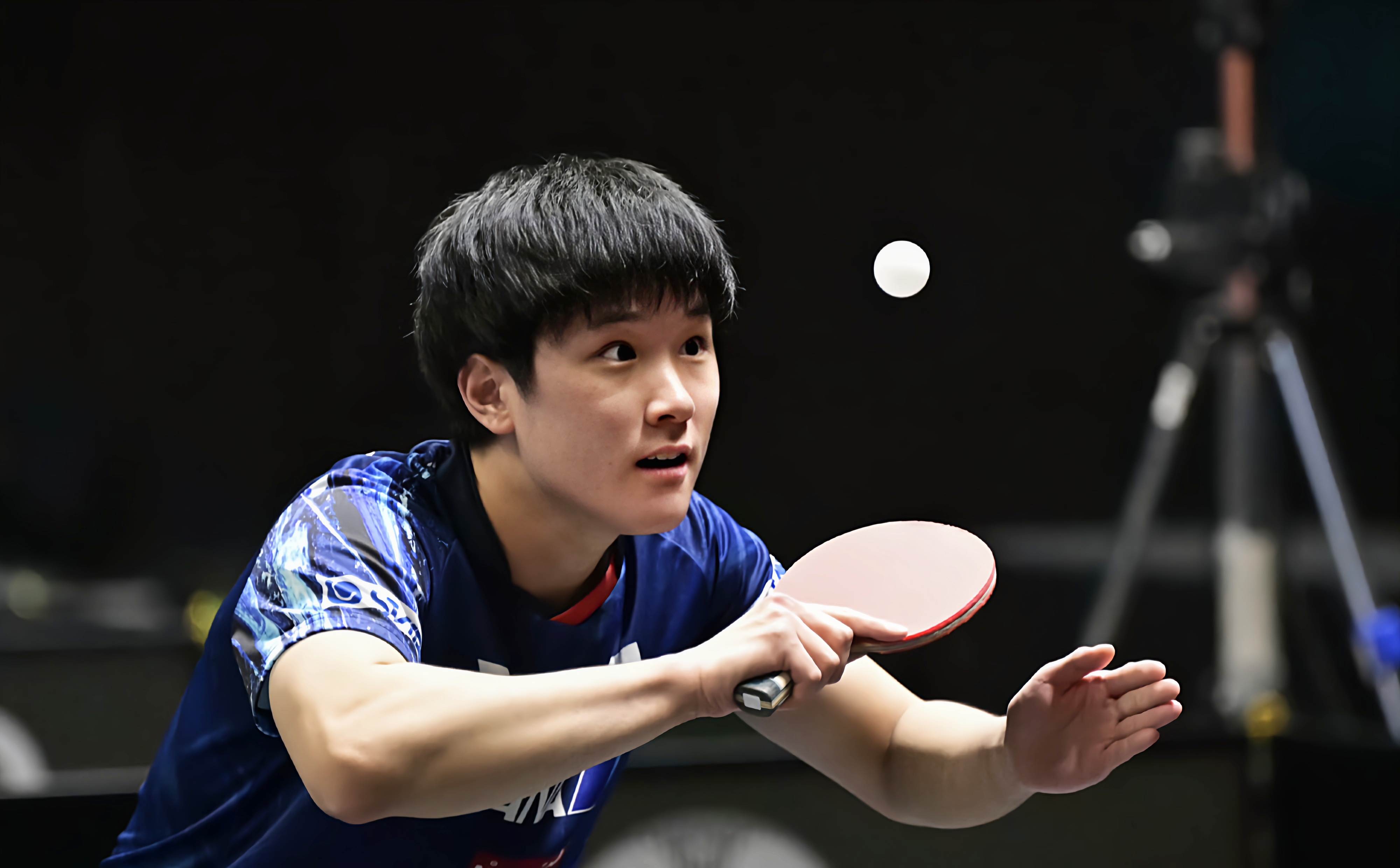 关于日本队力克瑞典队，梁靖崑惊艳四座的信息