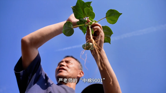 河南科技队在第四节逆袭，赢得胜利