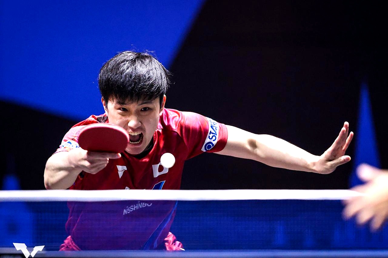 关于奥地利乒乓球队强势波兰乒乓球队，张本智和统治全场的信息