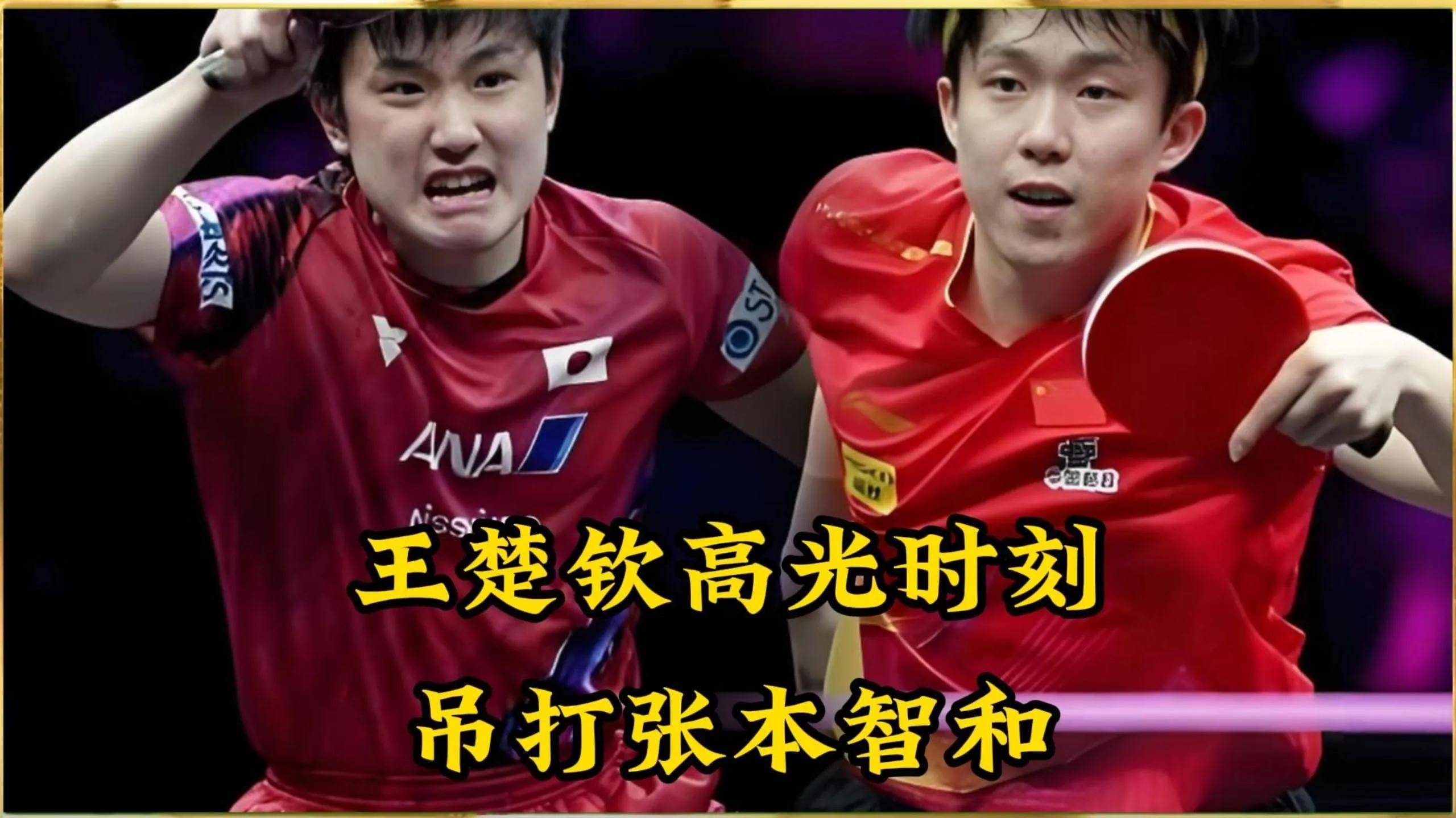 法国乒乓球队完胜德国乒乓球队，张本智和关键制胜的简单介绍