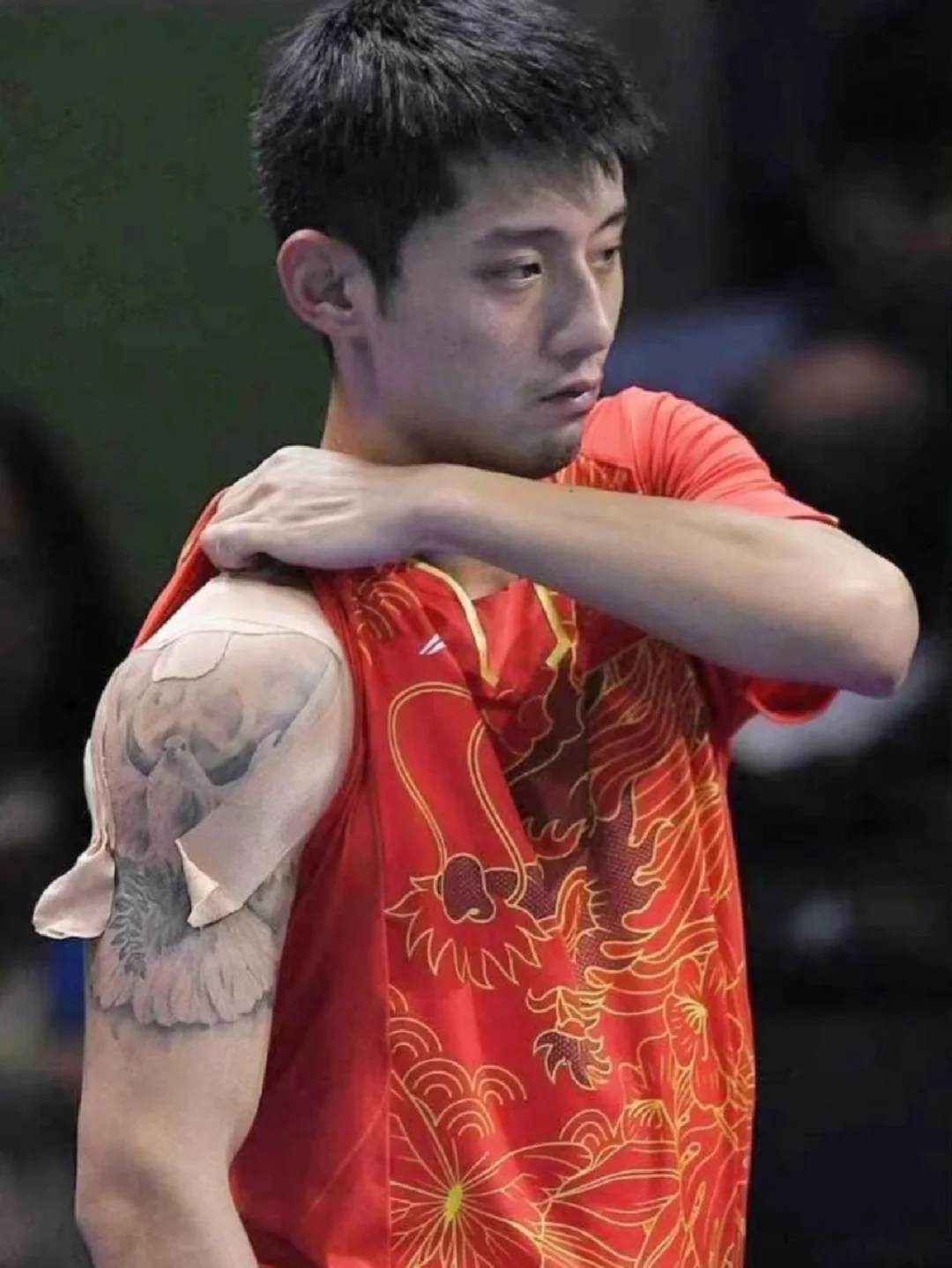 韩国乒乓球队完胜奥地利乒乓球队，张继科高光表现的简单介绍