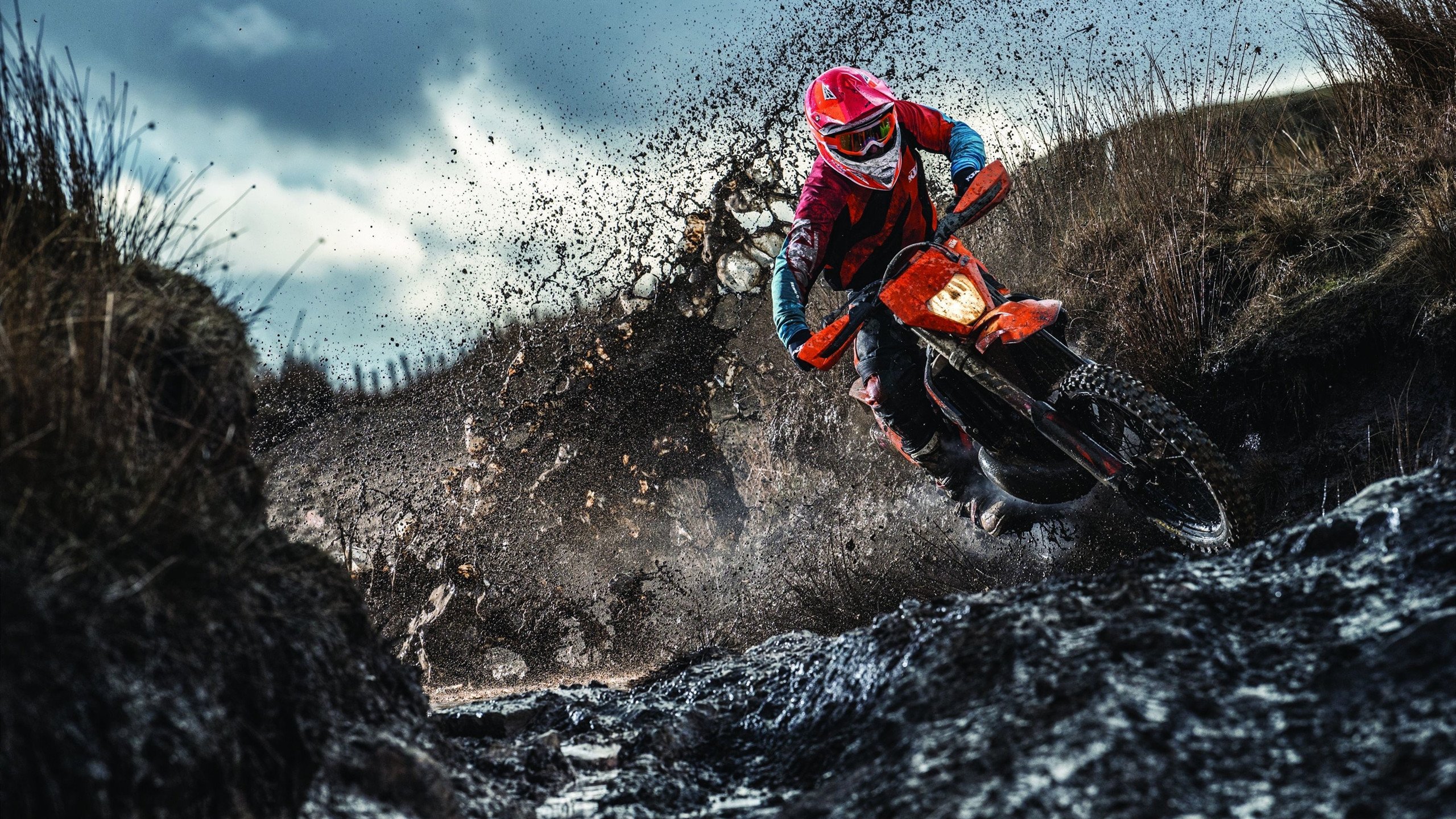 莫兰特独木难支,广东队团队篮球击溃灰熊